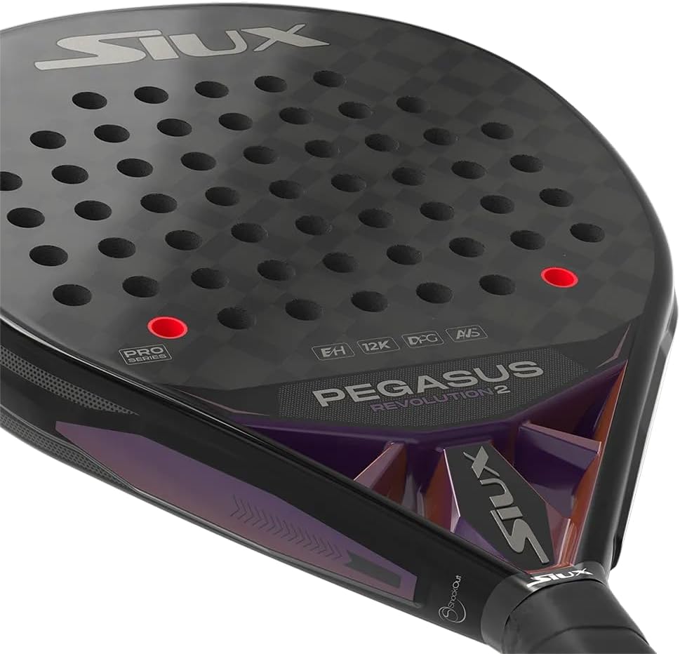Siux Pegasus Revolution 2