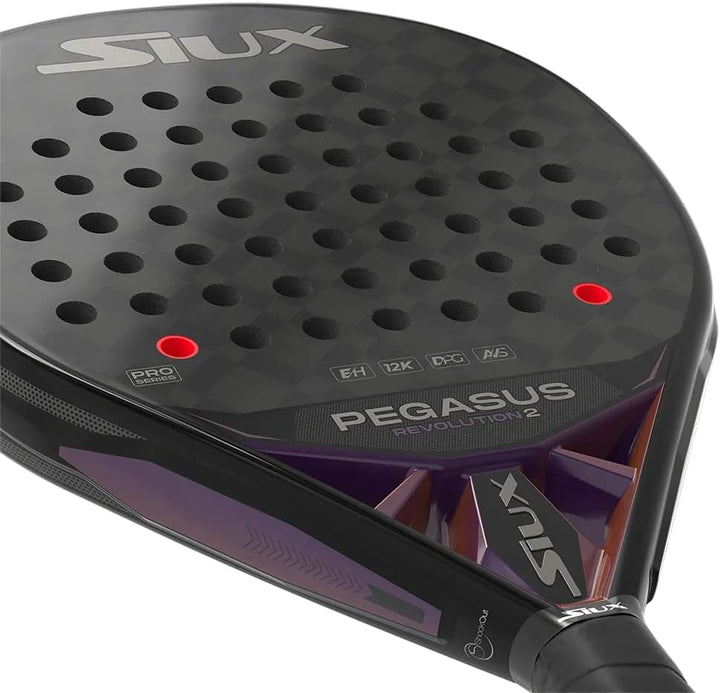 Siux Pegasus Revolution 2