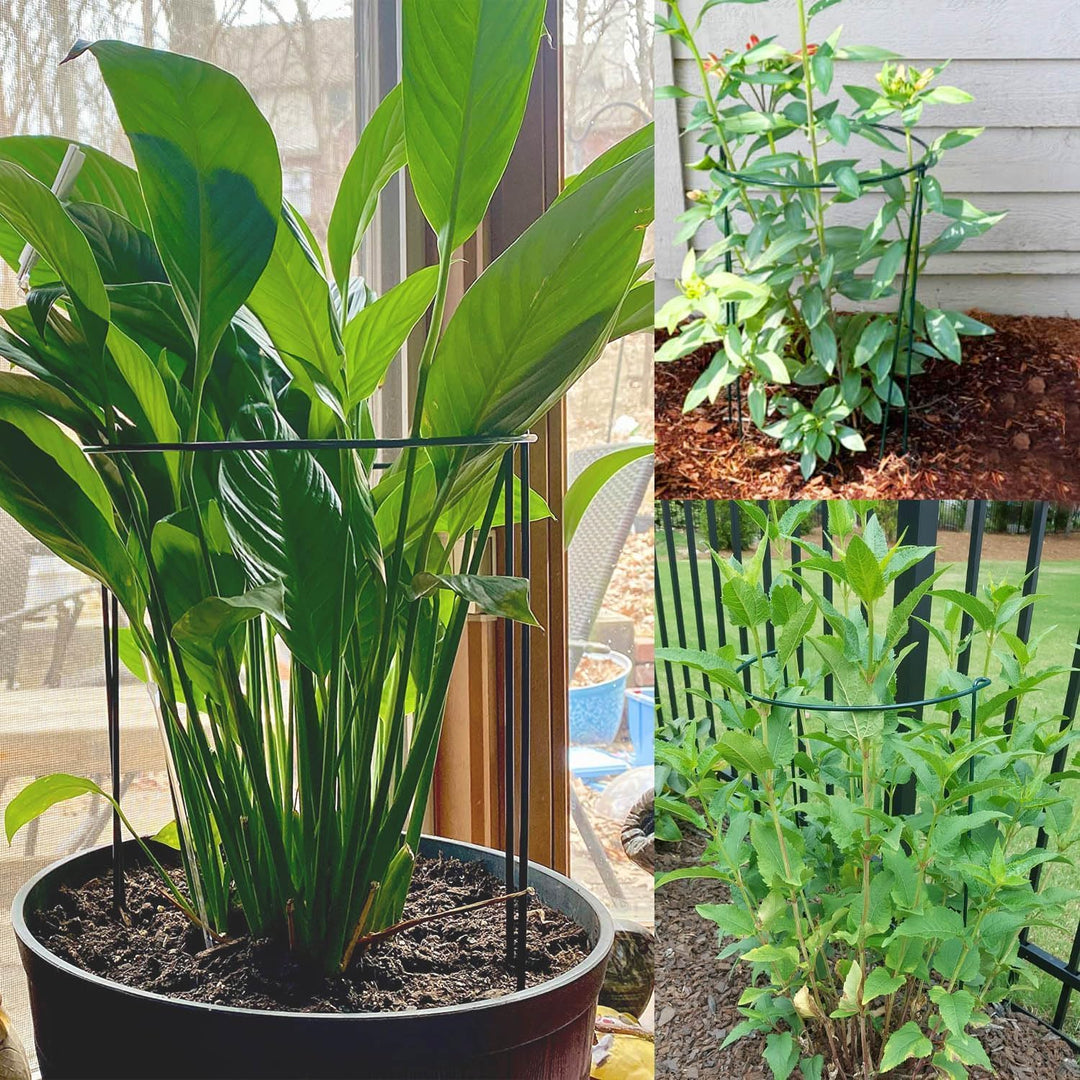 10er-Pack Pflanzenstützpfähle, Halbrunder Metall-Gartenpflanzenpfahl, Pfingstrosenkäfige und -stütze