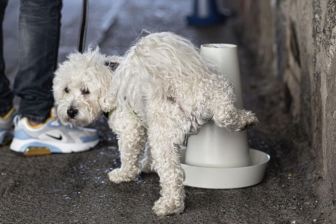 PIPPI WC-Toilettenschalen, Urinal, Hunde, Männer, saugfähiges Zubehör, Weiss