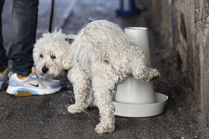 PIPPI WC-Toilettenschalen, Urinal, Hunde, Männer, saugfähiges Zubehör, Weiss