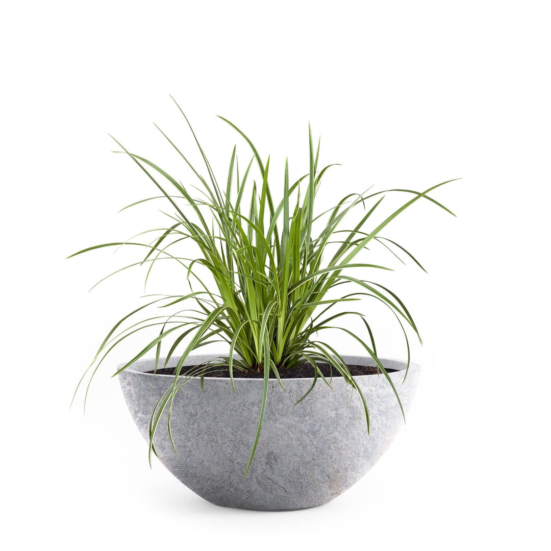 Pflanzwerk® Pflanzkübel Pflanzschale Bowl Ø 28cm Lava Hellgrau *Frostbeständige Blumenschale* *Deuts