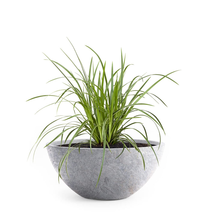 Pflanzwerk® Pflanzkübel Pflanzschale Bowl Ø 28cm Lava Hellgrau *Frostbeständige Blumenschale* *Deuts