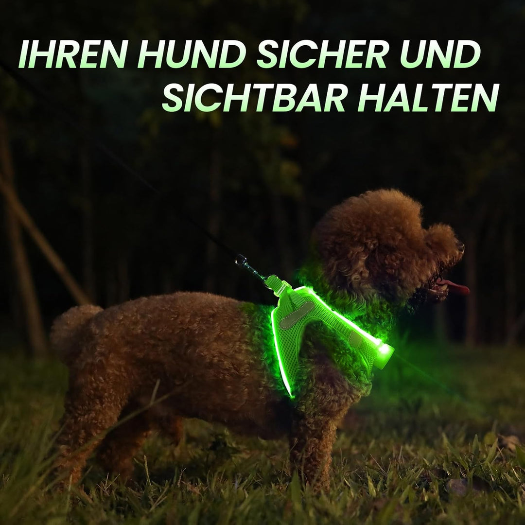 PcEoTllar Hundegeschirr Leuchtend, Leuchtgeschirr LED Aufladbar & Reflektierendes, Beleuchtetes Leuc