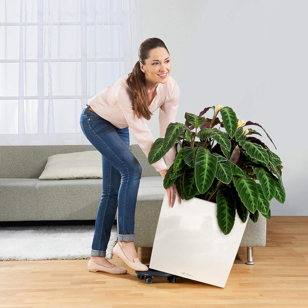 LECHUZA CUBE Premium 50 scarlet rot hochglanz 16567 49x49x49.5 cm Scarlet Rot Hochglanz, 49x49x49.5