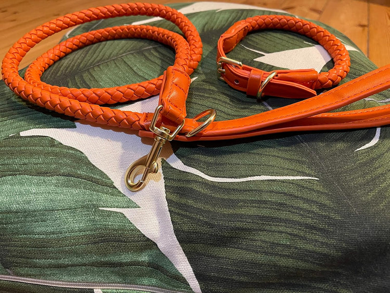 Hundehalsband mit 1,20 m Cityleine im Set (Orange), rund geflochten, Zeitloses Design, KEIN Leder M: