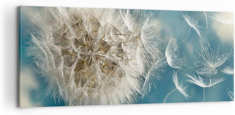 Wandbilder Dekoration Wohnzimmer Baby Sommer Pflanze Panorama Bilder auf Leinwand 120x50cm Leinwandb