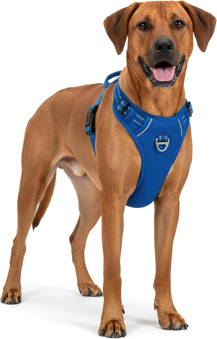 Reichstadt Pets Hundegeschirr Mittlere Hunde 25RSP083 Blue M | Verstellbares No-Pull Geschirr mit Gr