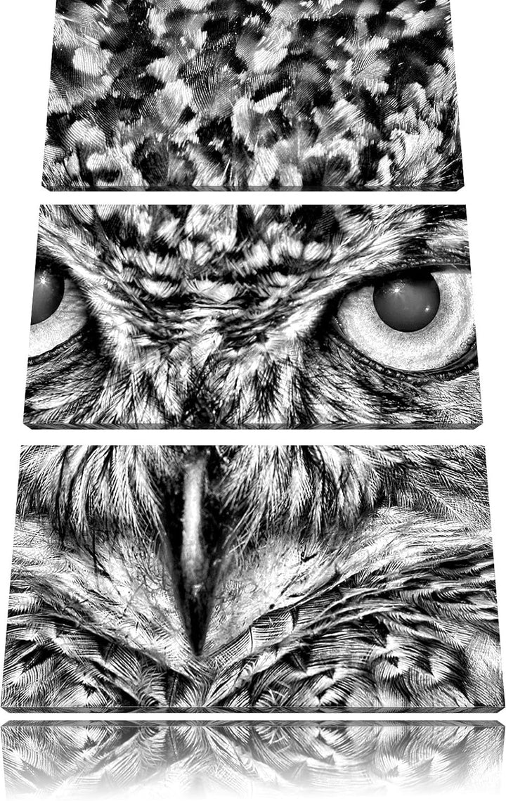 Pixxprint Eule mit gelben Augen als Leinwandbild/Grösse: 3 Teilig (120x80) cm/Wandbild/Kunstdruck/fe