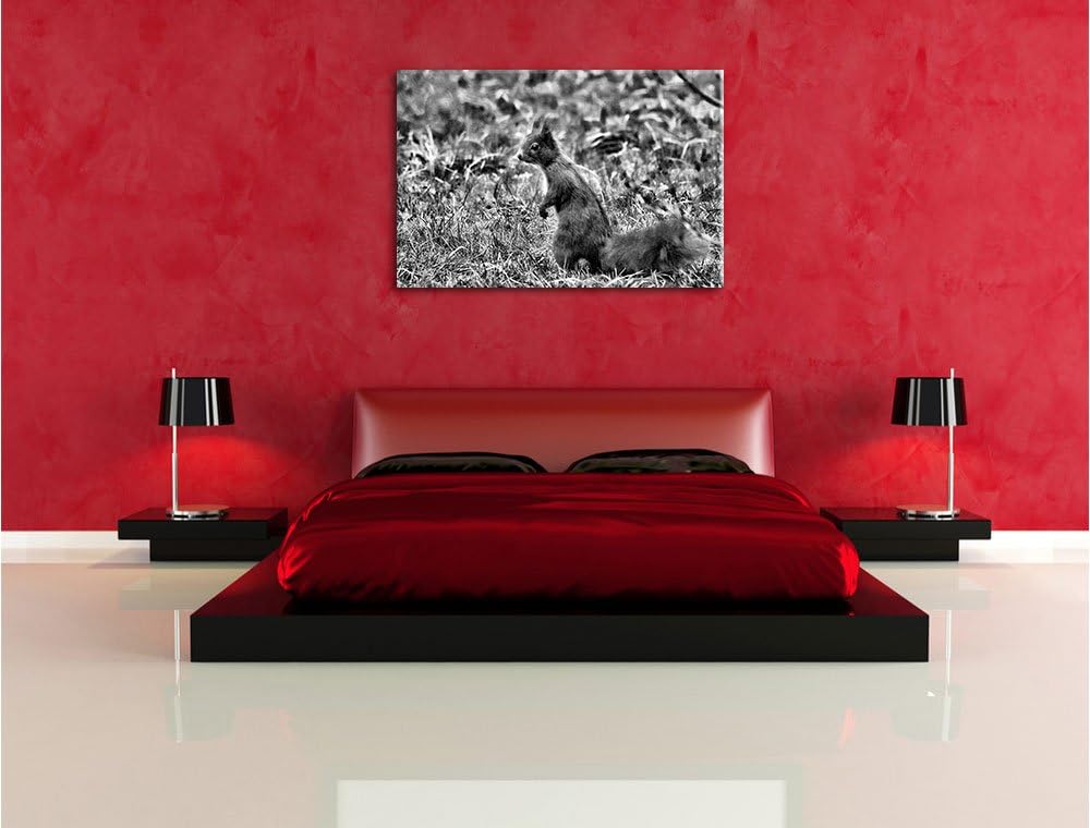 Pixxprint Eichhörnchen auf Boden als Leinwandbild/Grösse: 100x70 / Wandbild/Kunstdruck/fertig bespan