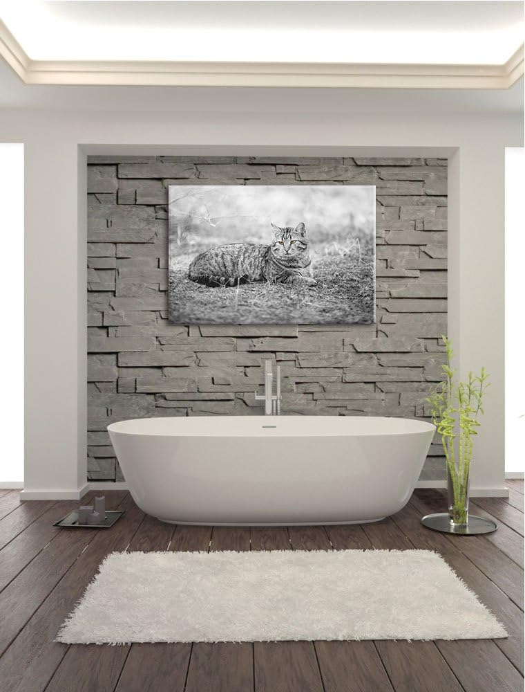 ruhende Katze auf Waldboden schwarz/weiss Format: 100x70 auf Leinwand, XXL riesige Bilder fertig ger