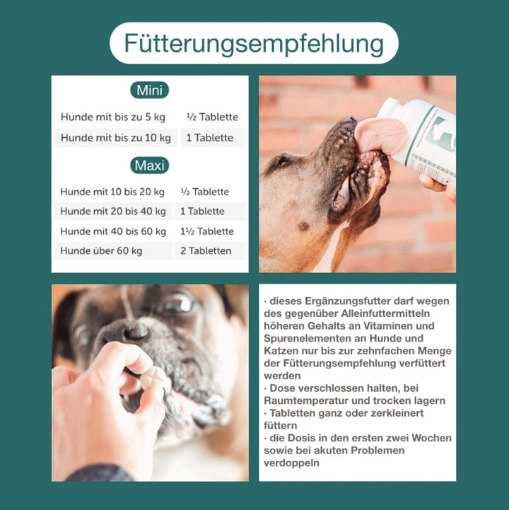 CaniMove Immune (ehemals EPA70) Mini &amp; Motion Mini - Das Kombipaket mit je 1 Packung für kleine Hund