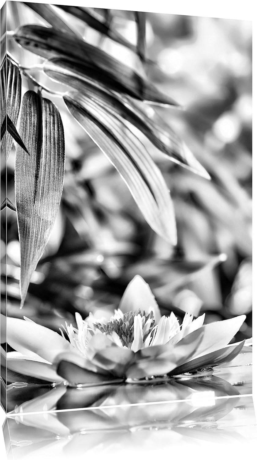 Pixxprint Monocrome, Weisse Seerose im Wasser Wellness, Format: 100x70 auf Leinwand, 100x70