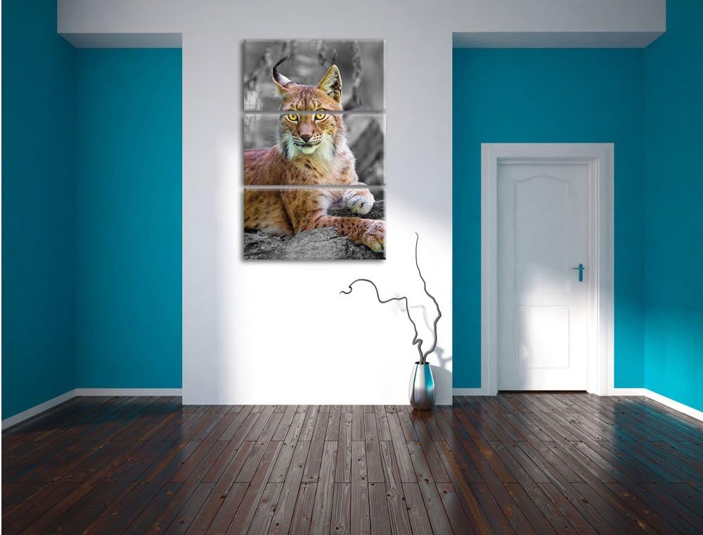 Pixxprint hübscher aufmerksamer Luchs / 3-Teilig/Gesamtmass 120cm Leinwandbild bespannt auf Holzrahm