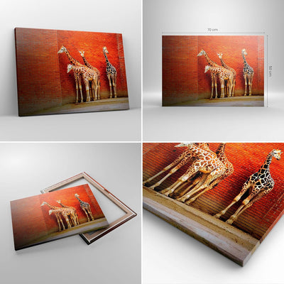 Bilder auf Leinwand Tiere Giraffen Zoo Familie Leinwandbild 70x50cm Wandbilder Dekoration Wohnzimmer