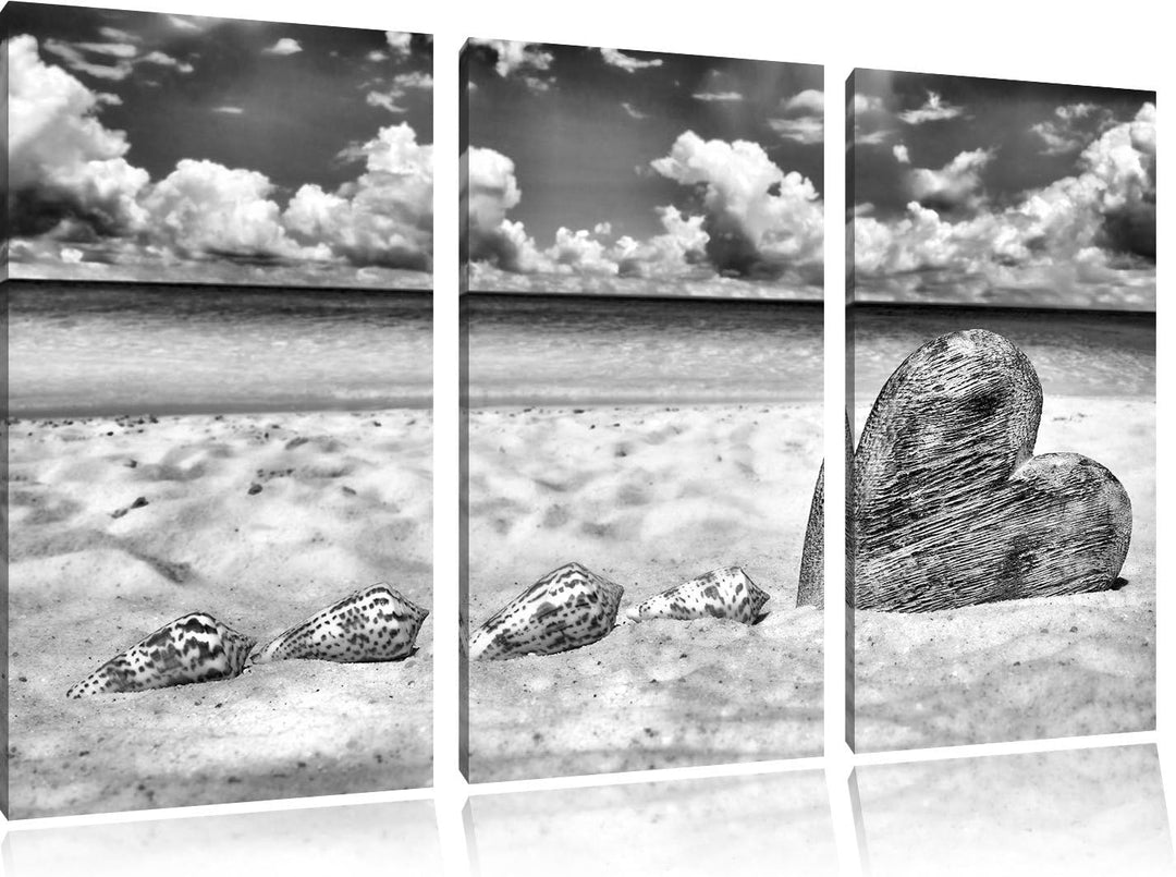 Pixxprint Sandstrand mit Muscheln als Leinwandbild/Grösse: 3 Teilig (120x80) / Wandbild/Kunstdruck/f