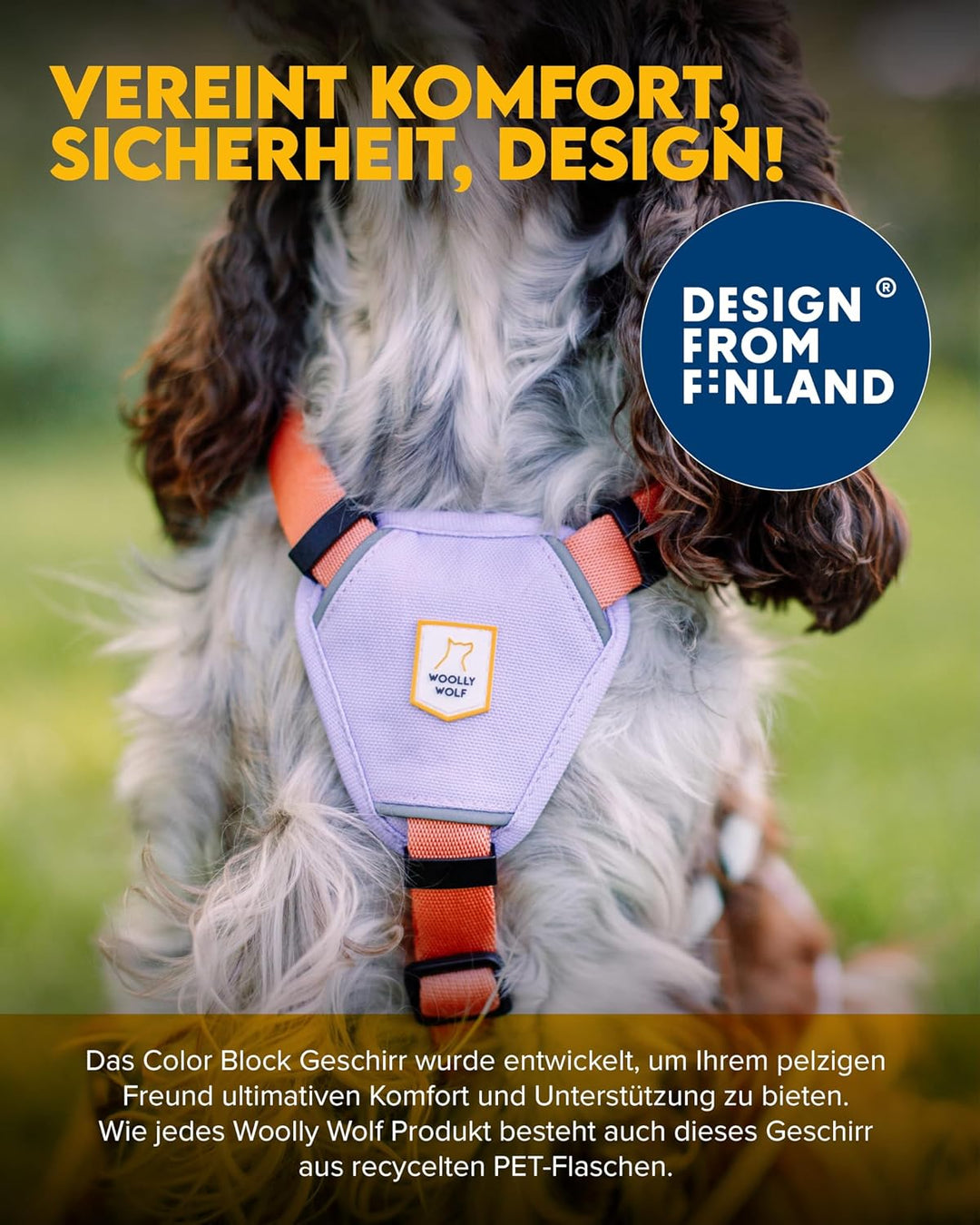 Woolly Wolf Color Block Hundegeschirr für kleine Hunde S – Geschirr mit Reflektoren &amp; 5-Punkt-Anpass