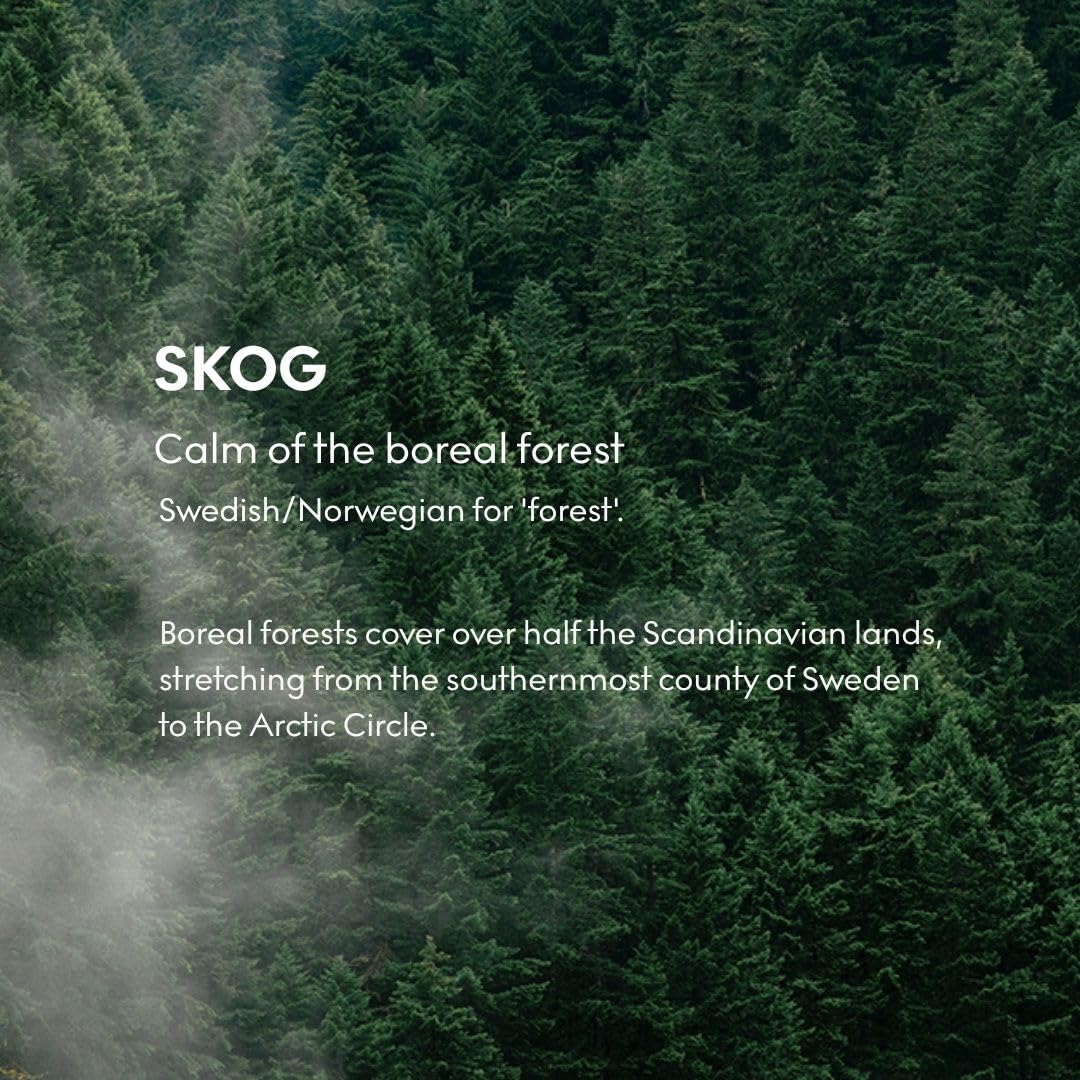 Skandinavisk SKOG 'Wald' Duftkerze. Duftnoten: Kiefernnadeln und Tannenzapfen, Birkensaft und Maiglö