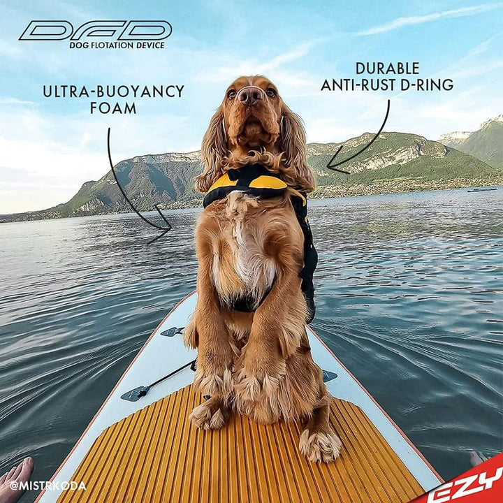 EzyDog DFD Schwimmweste Hund - Hundeschwimmweste - Schwimmwesten für Hunde - Grössenverstellbar mit
