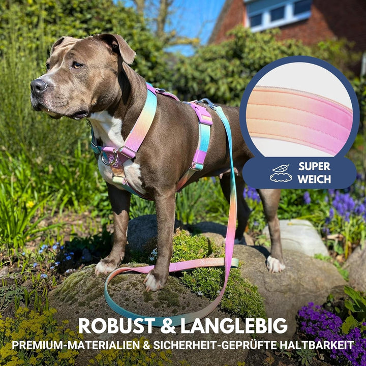 Spark Paws No Pull Hundegeschirr Grosse Hunde, Halterdesign mit Frontclip, Y Geschirr Hund, Robust u