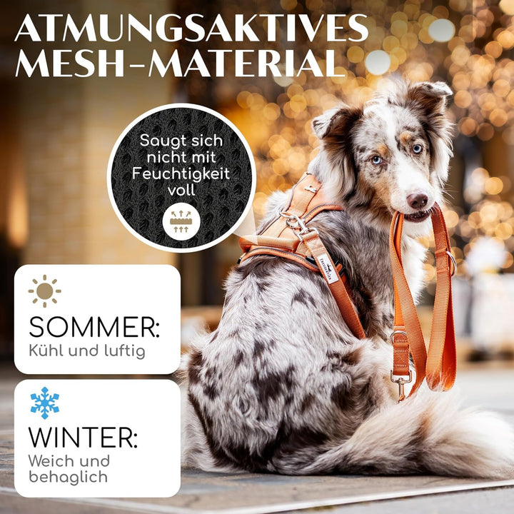 FREUDENTIER Hundegeschirr mit Mesh-Polsterung - Höchster Komfort, bombenfester Sitz &amp; maximale Siche
