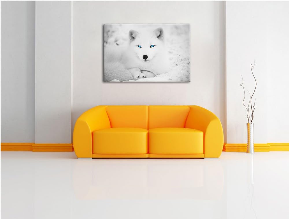 liegender Polarfuchs mit strahlenden Augen schwarz/weiss Format: 100x70 auf Leinwand, XXL riesige Bi