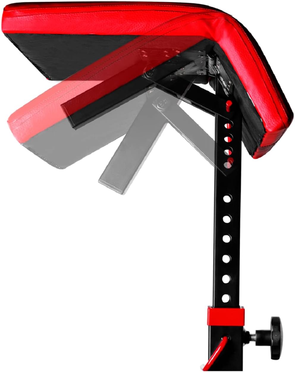 Scottbank Curlbank verstellbar Bizepsbank für Kelton- Bank Curlpult Ablage HZ6