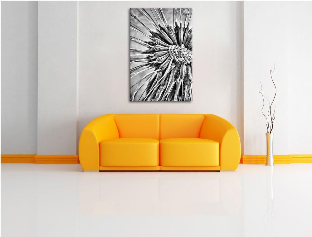 Pixxprint Monocrome, Vertrocknete Pusteblume, Format: 100x70 auf Leinwand, 100x70