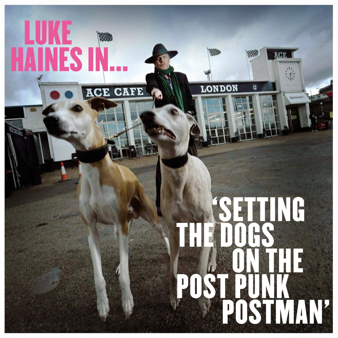 Luke Haines in...Setting the Dogs on the Post Punk, Vinyl