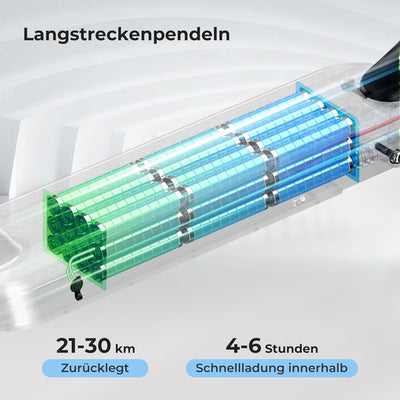 iScooter E Scooter mit Strassenzulassung, 30 km Reichweite, Elektroroller mit Strassenzulassung (ABE