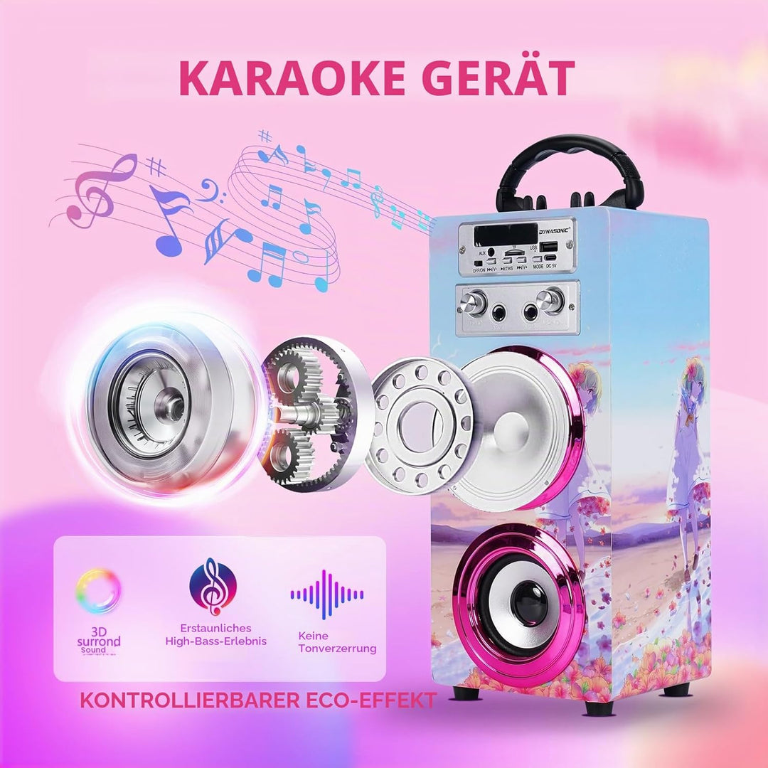 DYNASONIC Karaoke mit 2 Mikrofonen, tragbarer Karaoke-Maschine, Bluetooth-Lautsprecher, USB- und SD-
