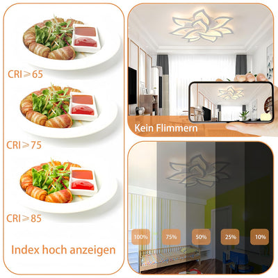 Tetipa LED Deckenleuchte Dimmbar, 80W-160W Wohnzimmerlampe mit Fernbedienung und APP, Schlafzimmer D