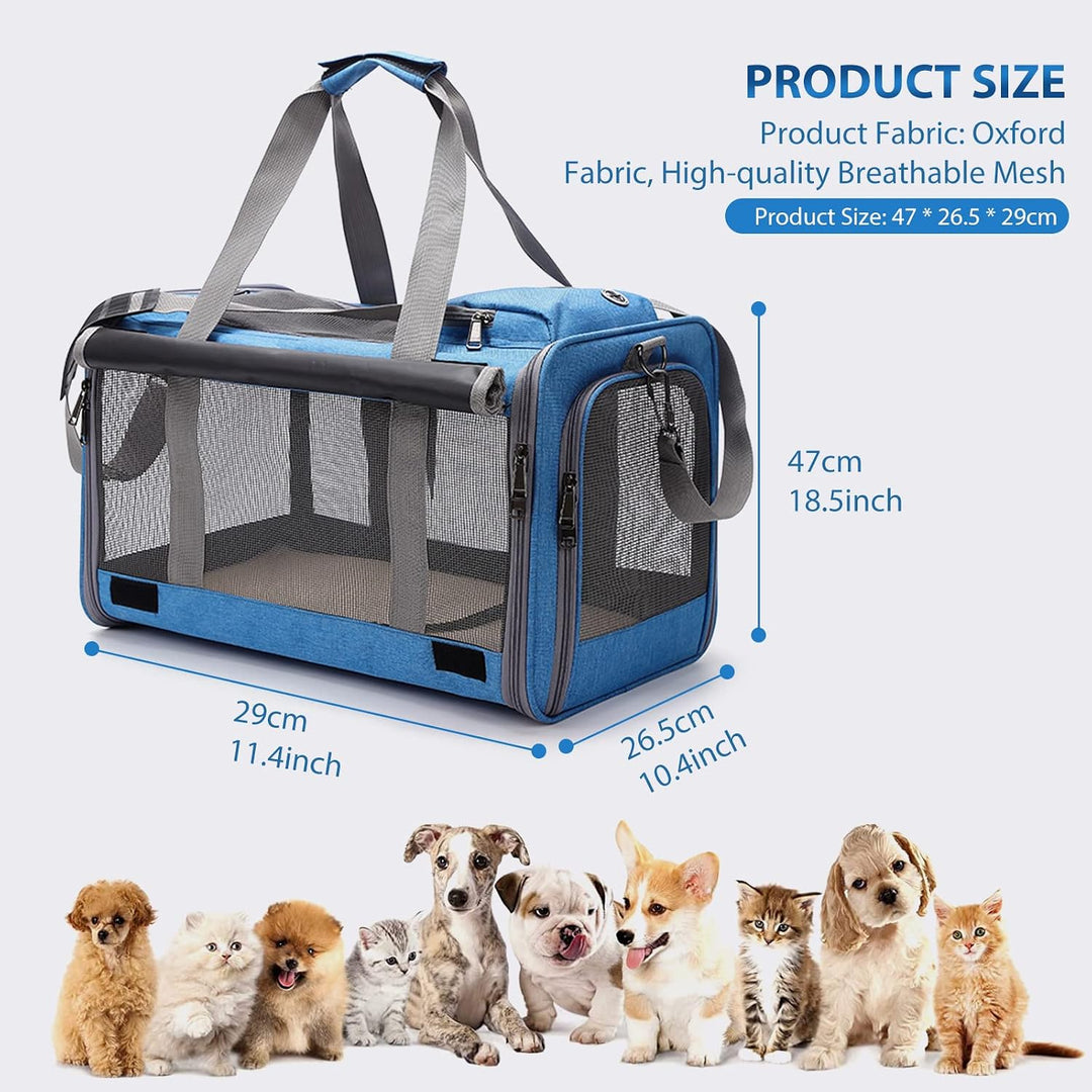 PETCUTE Katzentransportbox für grosse Katzen 20 lbs,Faltbar Hundetransportbox für Kleine Hunde,Tragb