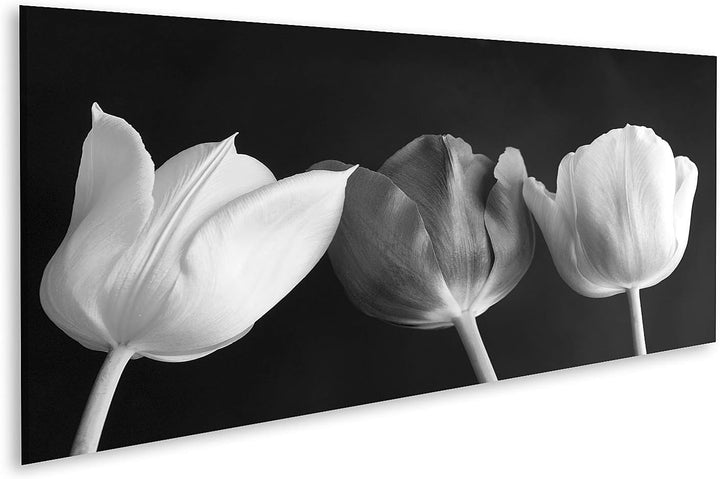 islandburner Bild auf Leinwand Tulpen Blumen Schwarz Weiss Bilder Wandbilder Poster Leinwand 120x40c
