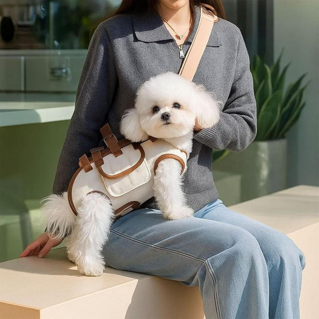 Hundetrage,Kleine Hundetasche Mit Snacktasche | Tragbarer Haustiertragebeutel Verstellbarer Ausflugs