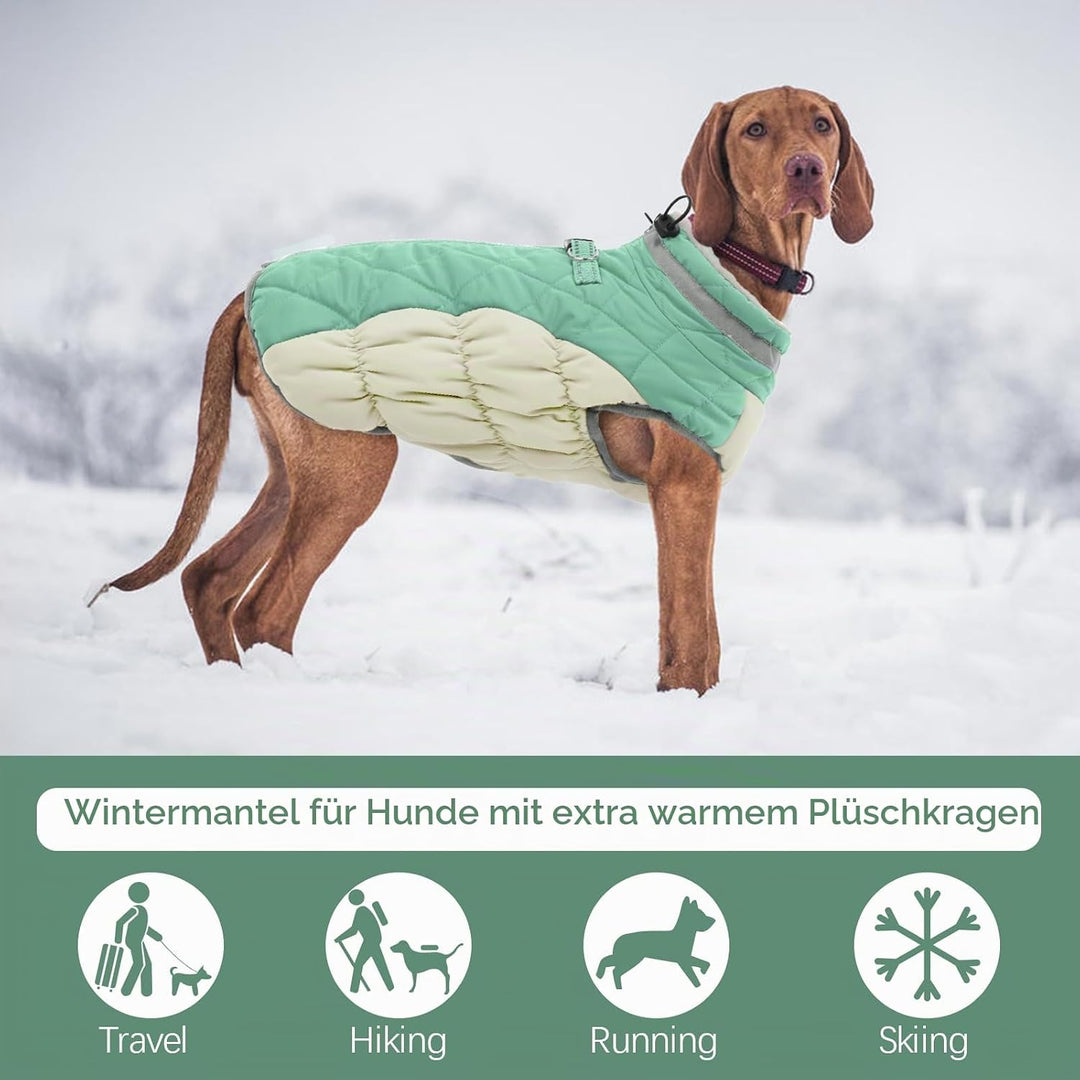 Kuoser Wärme hundemantel, Winddicht hundejacke, Reflektierend hundemantel für kleine Hunde, hundeman
