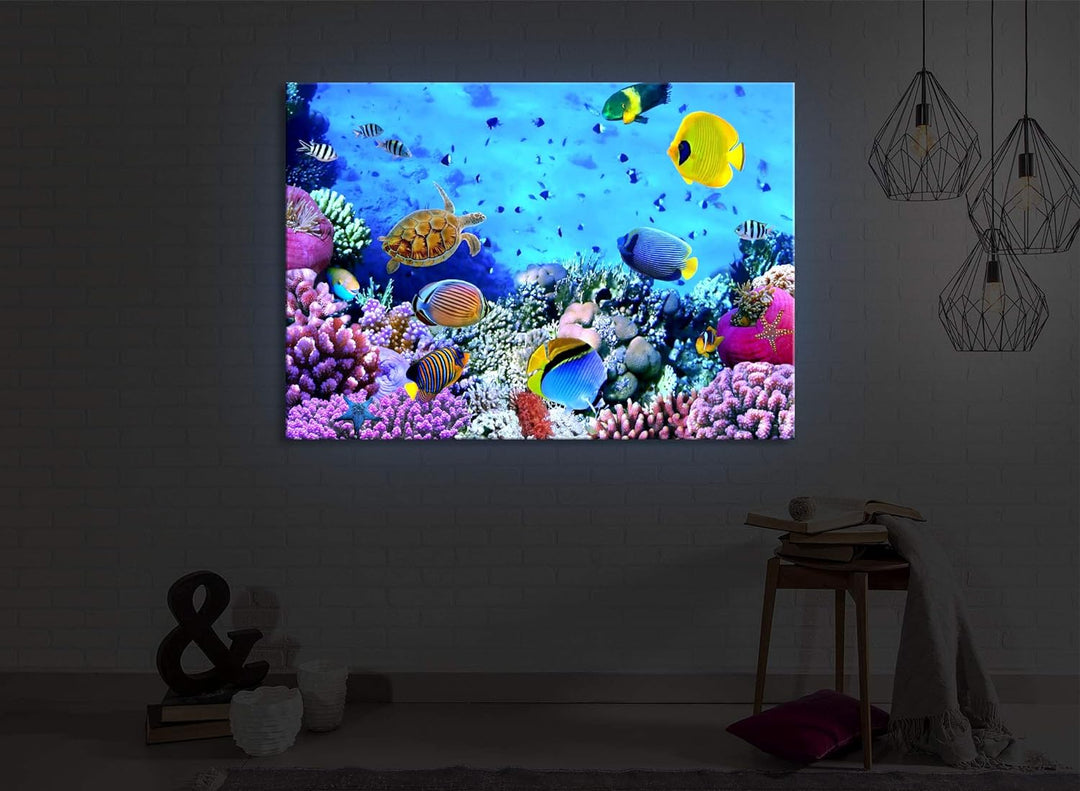 lightbox multicolor | Bilder mit LED Beleuchtung | Bunte Fische über Korallenriff | 100x70 cm | Fron