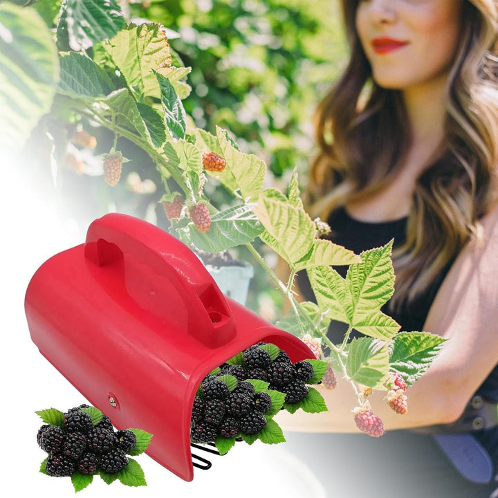 Beerenpflücker Obsternteschaufel mit Handgriff | Heidelbeerrechen für Aussenbereich, Gartenanlage, F