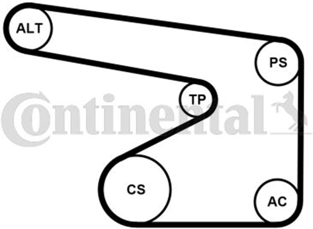 CONTITECH 5PK1355K1 Keilrippenriemensatz