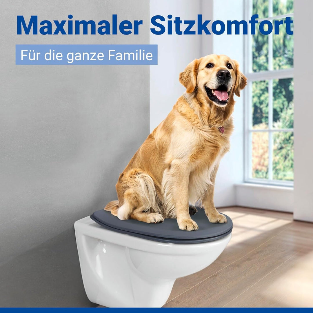 WENKO WC-Sitz Mod. Sedilo matt Grau, Flacher Toilettensitz mit Absenkautomatik, hygienischer WC-Deck