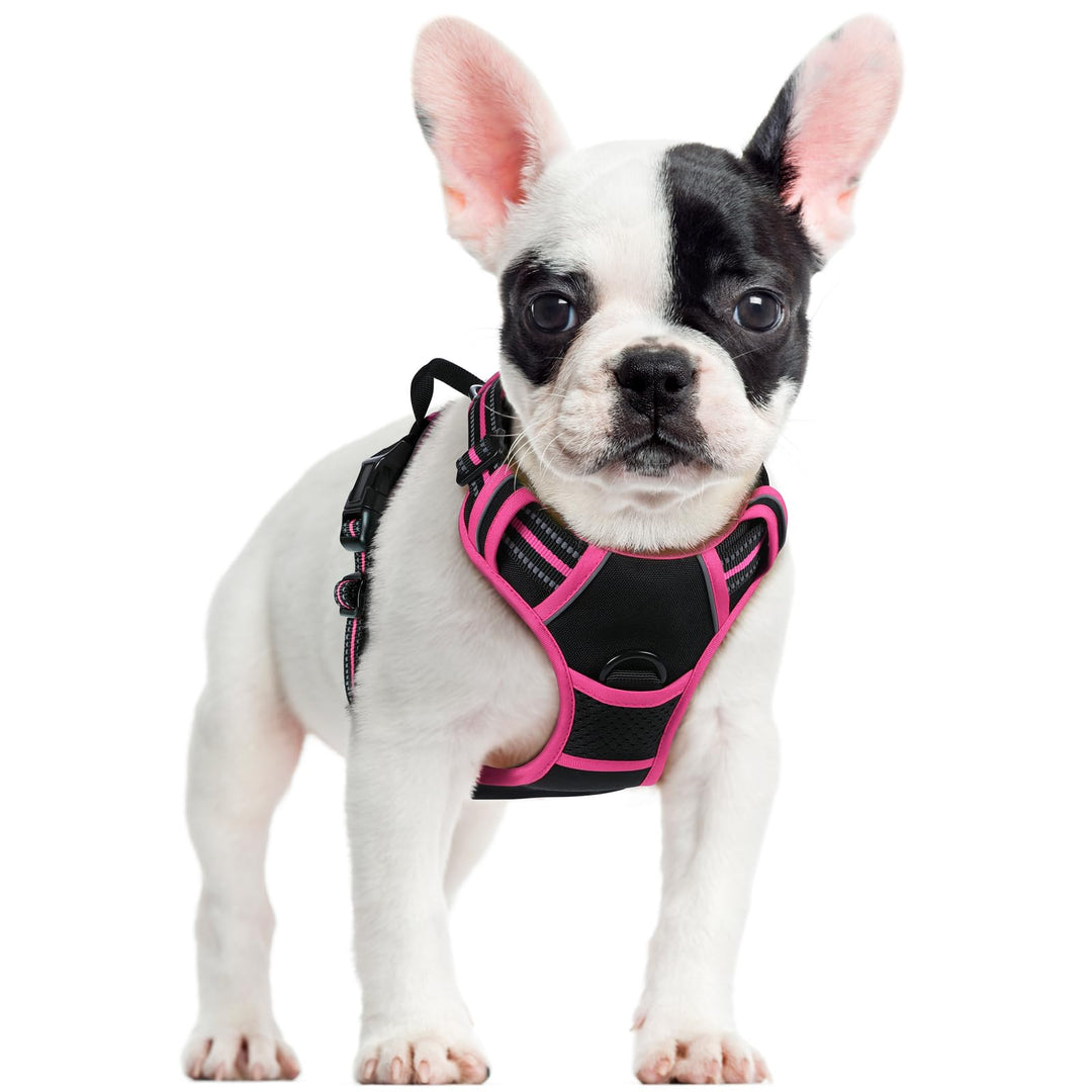 rabbitgoo Hundegeschirr Mittelgrosse Hunde, Anti Zug Geschirr mit Kontrolle, No Pull Verstellbar Hun