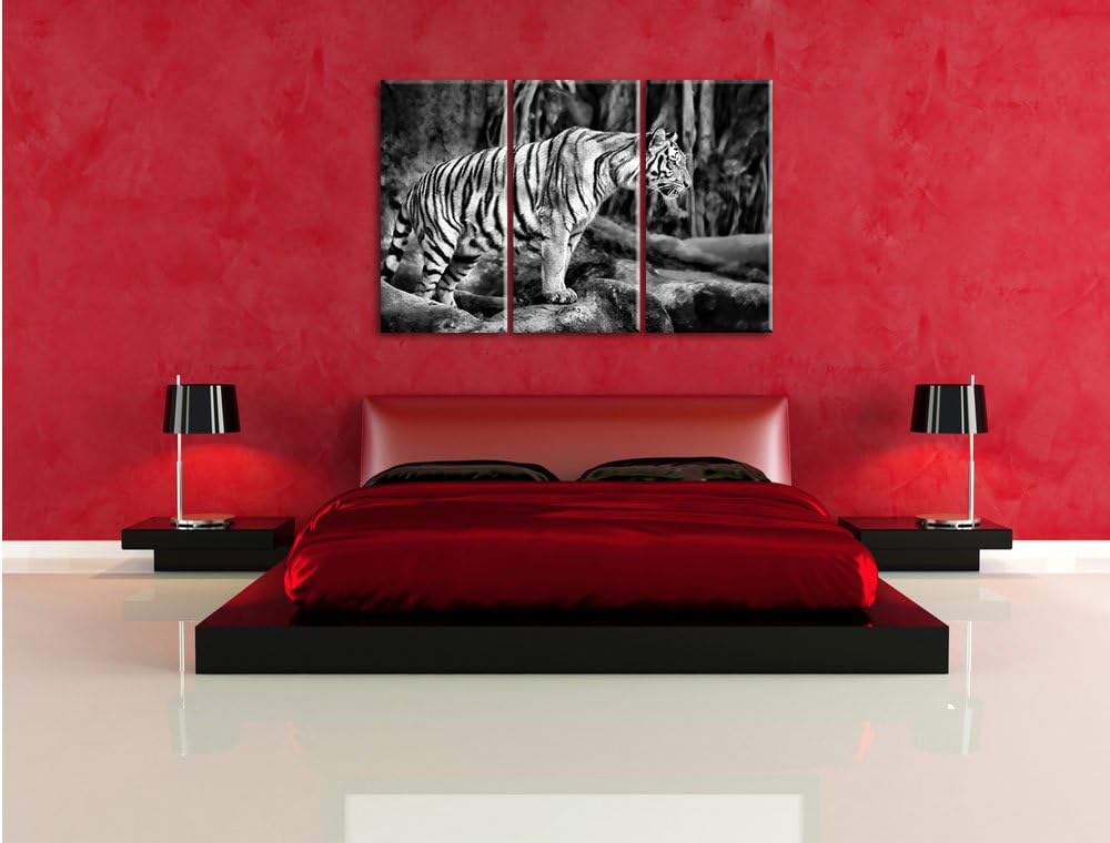 Pixxprint Tiger / 3-Teilig/Gesamtmass 120cm Leinwandbild bespannt auf Holzrahmen/Wandbild Kunstdruck