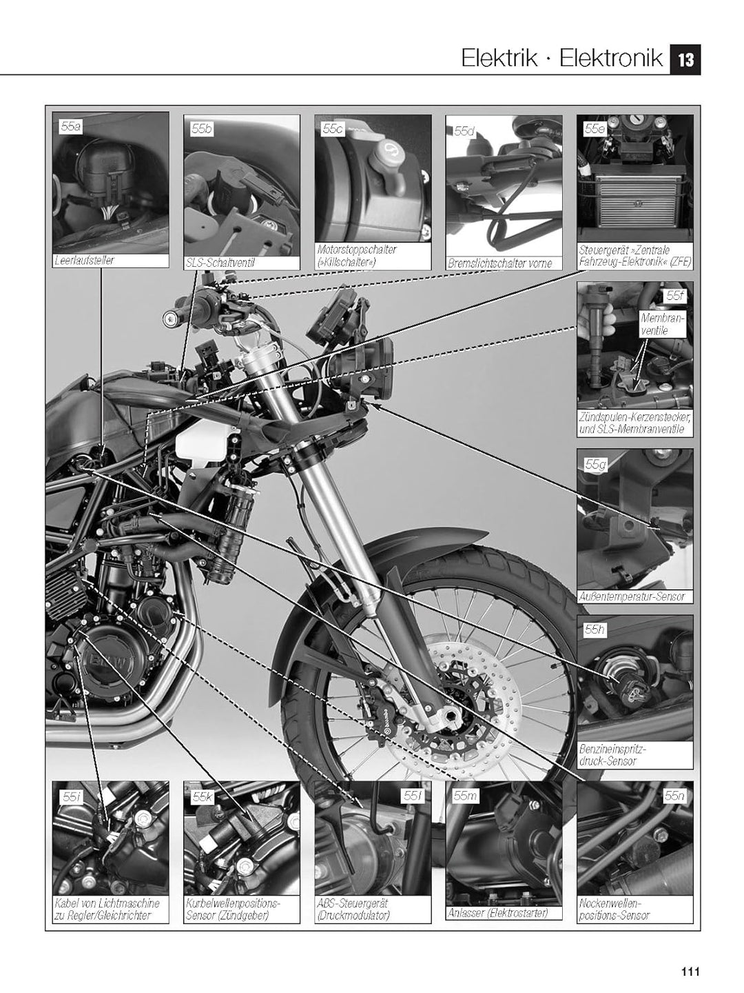 BMW F 800 GS ab Modelljahr 2008 (Reparaturanleitungen), Taschenbuch
