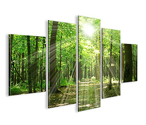 islandburner Bild Bilder auf Leinwand Sonnenstrahlen im Wald Bäume Spaziergang MF XXL Poster Leinwan