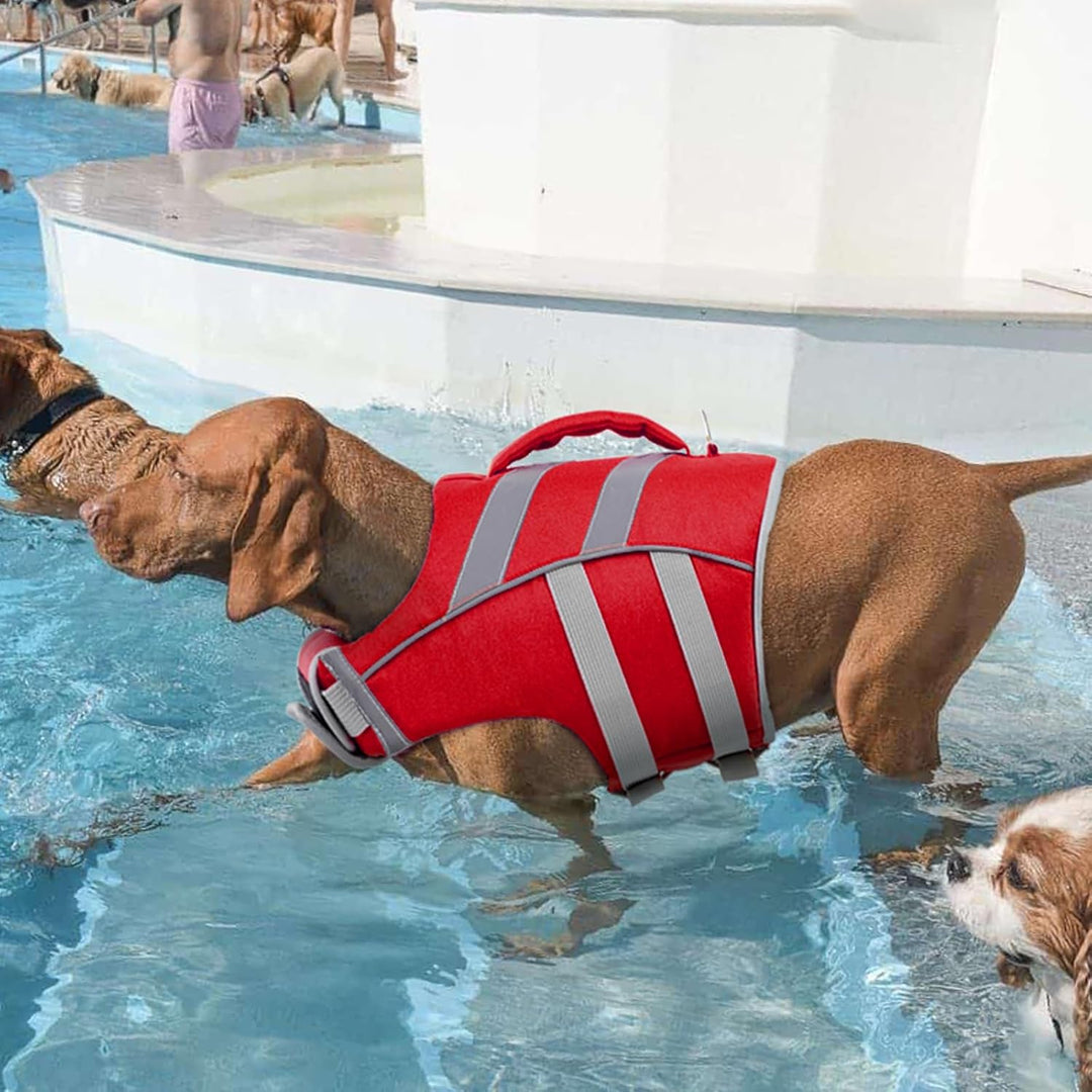 Kuoser Schwimmweste Hund, Hundeschwimmweste mit Griff &amp; D-Ring, Rot XS | Schwimmweste für Hunde, Her