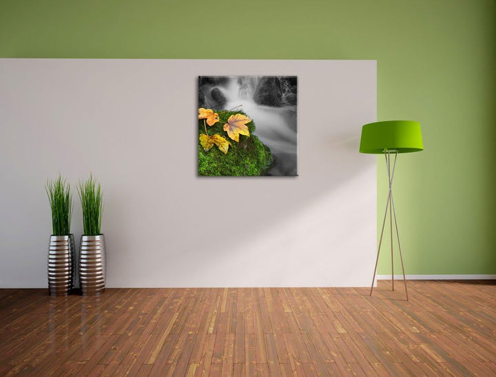 Pixxprint Waldbach als Leinwandbild/Grösse: 70x70 cm/Wandbild/Kunstdruck/fertig bespannt, 70x70