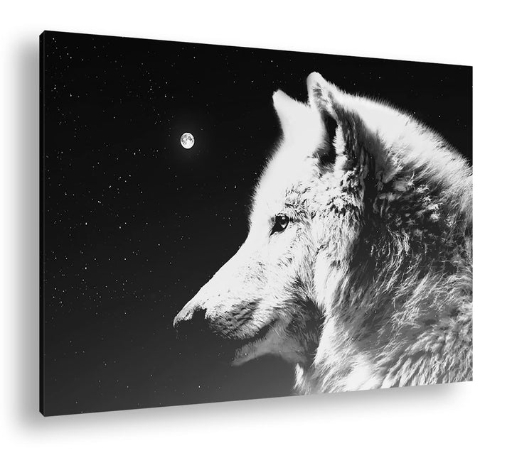 deyoli einsamer stolzer Wolf Format: 120x80 Effekt: Schwarz&amp;Weiss als Leinwandbild, Motiv fertig ger