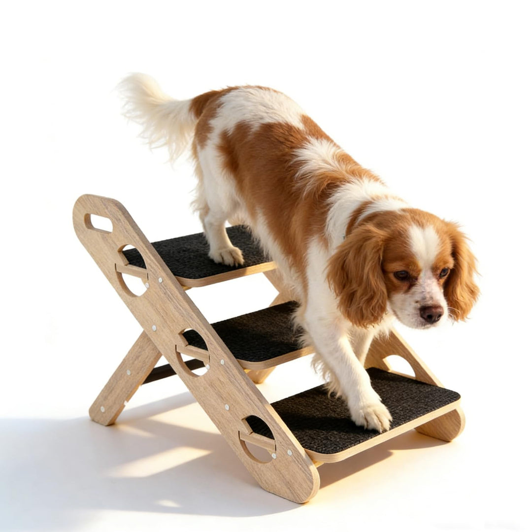 Faltbare Hundetreppe,Hunde Rampe Für Das Bett,2-In-1 Klappbare Hölzerne Hunderampe Mit 3 Stufen,Lang