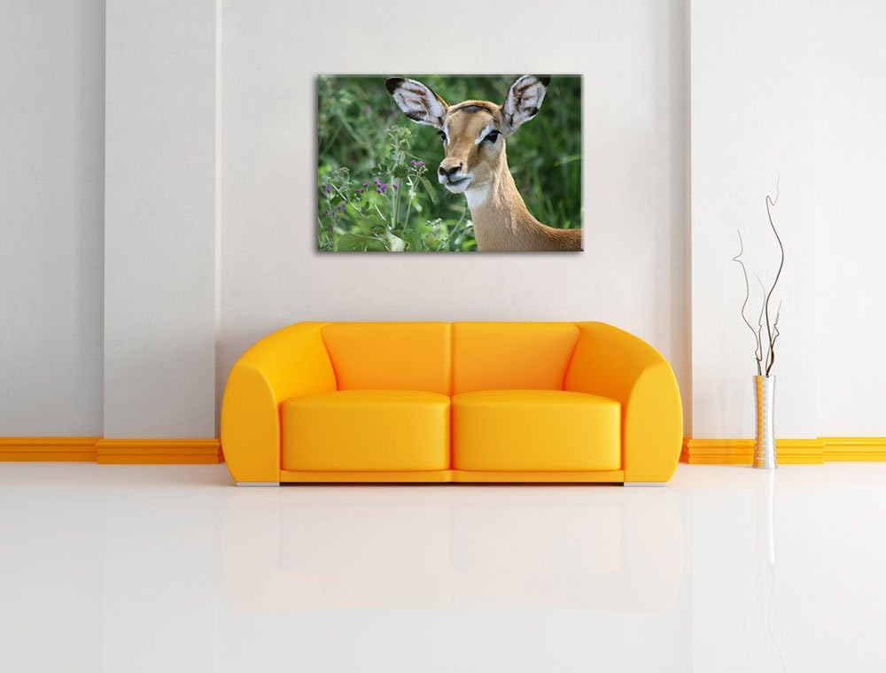 niedliches Reh vor hoher Wiese Leinwand, XXL riesige Bilder fertig gerahmt mit Keilrahmen, Kunstdruc