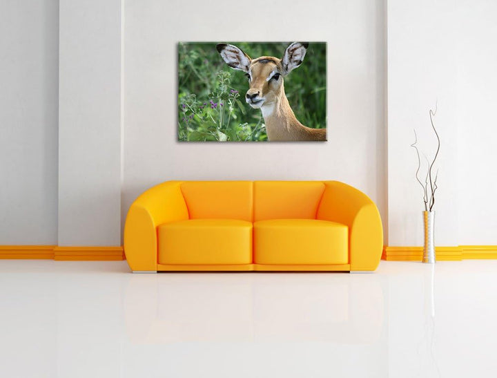 niedliches Reh vor hoher Wiese Leinwand, XXL riesige Bilder fertig gerahmt mit Keilrahmen, Kunstdruc